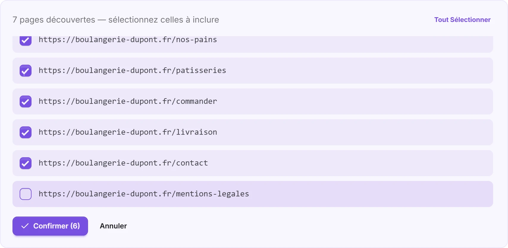 La liste des pages découvertes, avec une page décochée